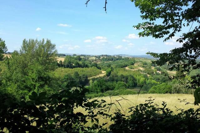 コッレ・ヴァル・デルザNel Chianti Lungo La Francigenaアパートメント エクステリア 写真