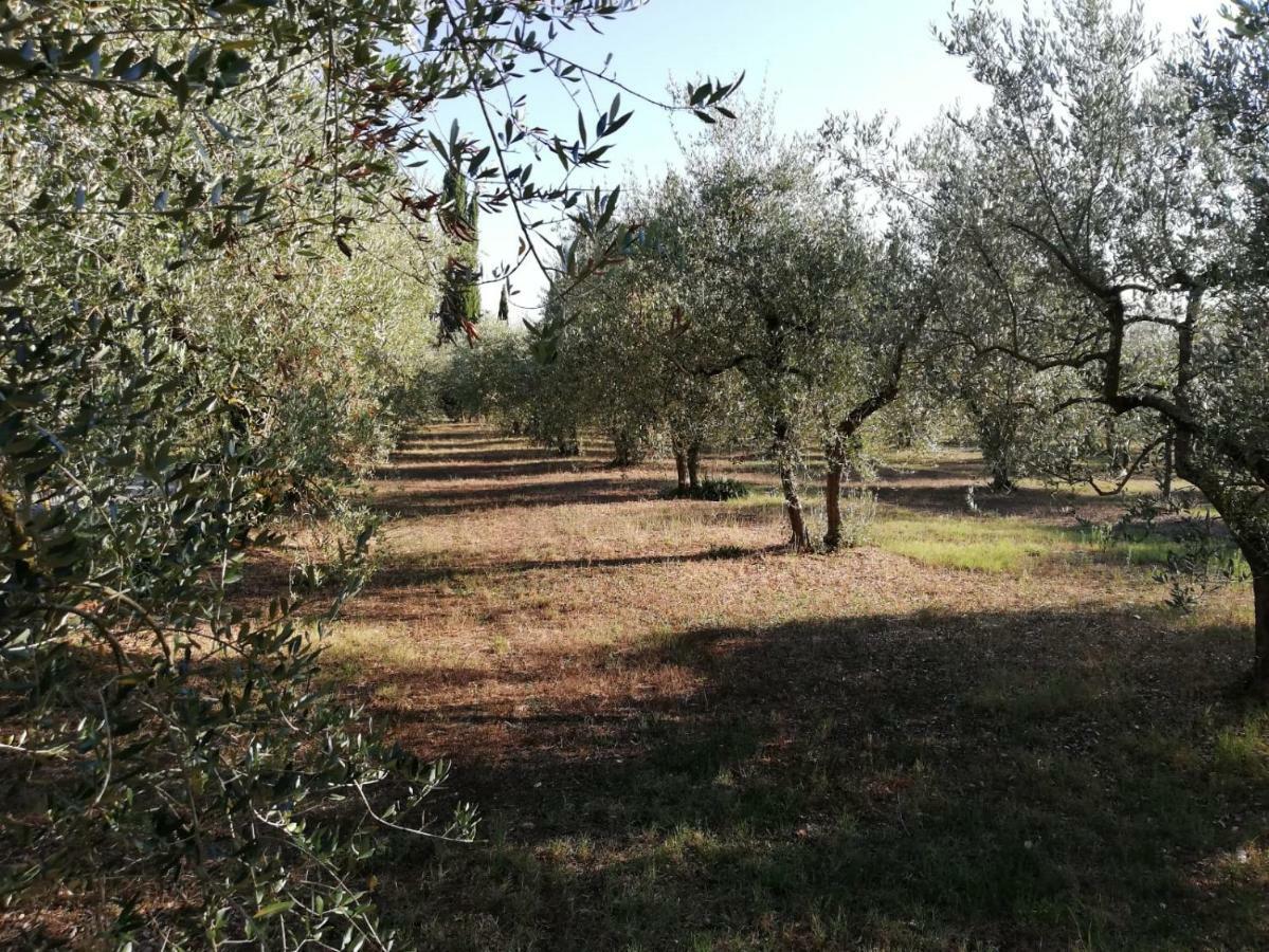 コッレ・ヴァル・デルザNel Chianti Lungo La Francigenaアパートメント エクステリア 写真