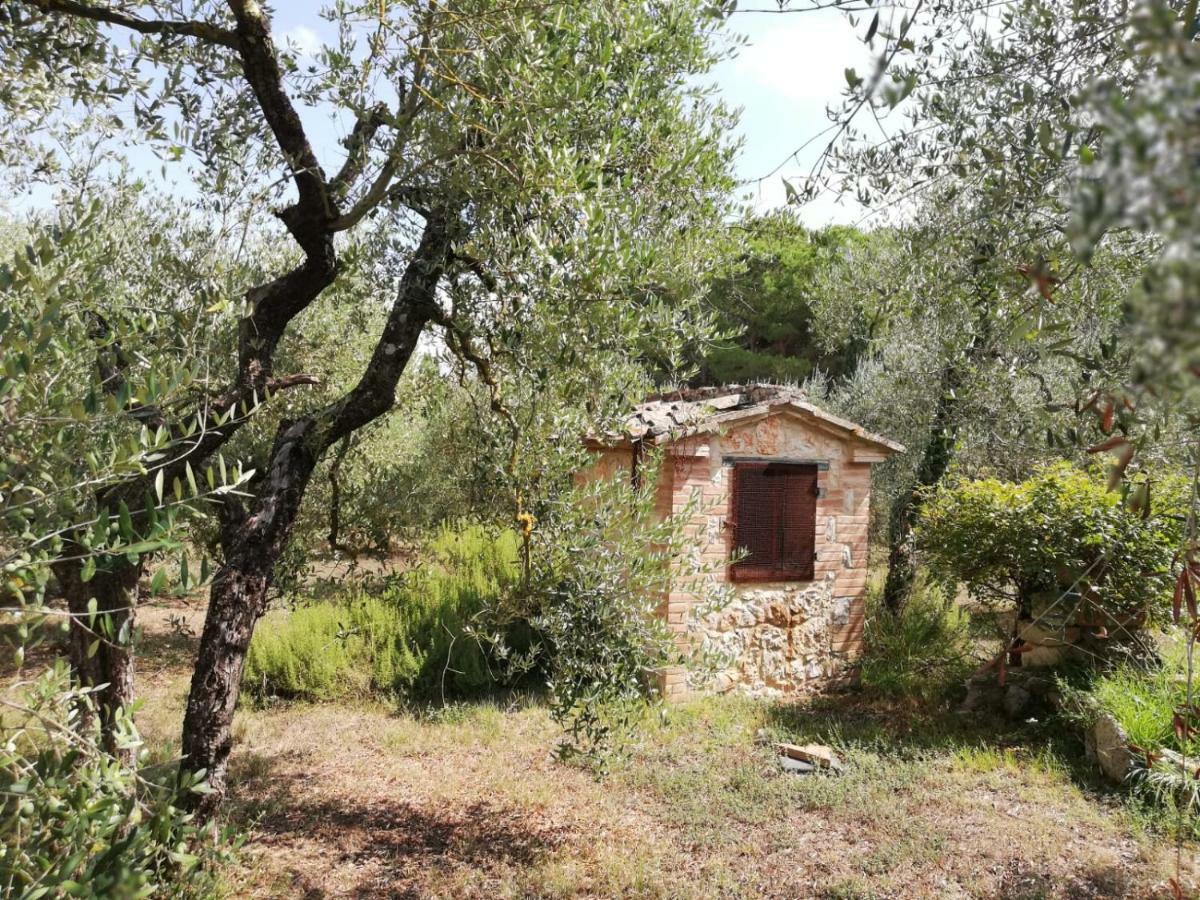 コッレ・ヴァル・デルザNel Chianti Lungo La Francigenaアパートメント エクステリア 写真