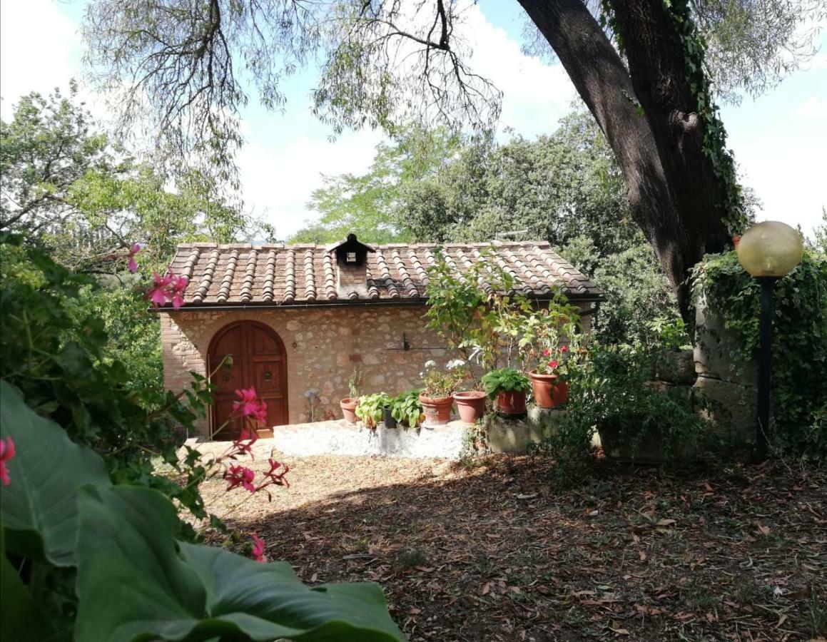 コッレ・ヴァル・デルザNel Chianti Lungo La Francigenaアパートメント エクステリア 写真